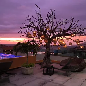 sax-house-306.hotelspuertovallarta.org/